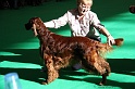 Crufts2011 085